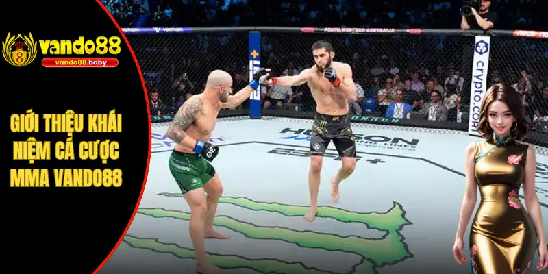 Giới thiệu khái niệm cá cược MMA Vando88