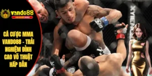 Cá cược MMA Vando88