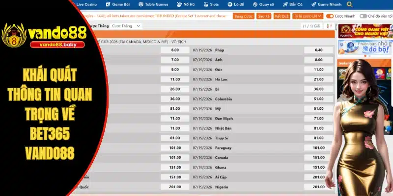 Khái quát thông tin quan trọng về Bet365 VANDO88